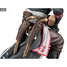 Assassin's Creed Rogue: The Renegade - Figurine Shay