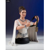 Star Wars Episode IV - Princess Leia of Yavin mini-bust
