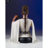 Star Wars Episode IV - Princess Leia of Yavin mini-bust