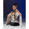 Star Wars Épisode IV - Mini buste Princesse Leia of Yavin