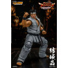 Virtua Fighter 5 Ultimate Showdown - Figurine Akira Yuki