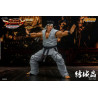 Virtua Fighter 5 Ultimate Showdown - Figure Akira Yuki