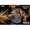 Virtua Fighter 5 Ultimate Showdown - Figure Akira Yuki