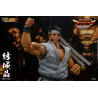 Virtua Fighter 5 Ultimate Showdown - Figure Akira Yuki
