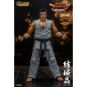 Virtua Fighter 5 Ultimate Showdown - Figure Akira Yuki