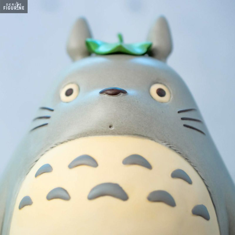 Studio Ghibli - Boîte à...