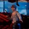 Star Wars Episode V - Buste Luke Skywalker