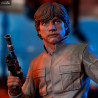 Star Wars Episode V - Buste Luke Skywalker