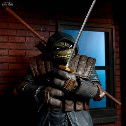 Teenage Mutant Ninja...