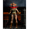 Teenage Mutant Ninja Turtles - Slash (Archie Comics) or Renet (Mirage Comics) figure