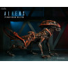 Aliens: Fireteam Elite - Pack figurines Runner Alien and Prowler Alien