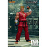 Tekken 7 - Figurine Paul Phoenix