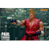 Tekken 7 - Figurine Paul Phoenix