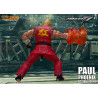 Tekken 7 - Figure Paul Phoenix