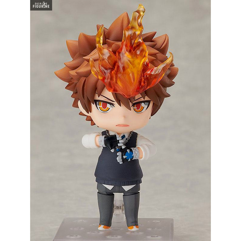 Reborn! - Figure Tsunayoshi...