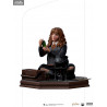 Harry Potter - Hermione Granger Polyjuice figure Classic or Deluxe, Art Scale