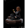 Harry Potter - Hermione Granger Polyjuice figure Classic or Deluxe, Art Scale