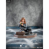 Harry Potter - Hermione Granger Polyjuice figure Classic or Deluxe, Art Scale