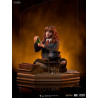 Harry Potter - Hermione Granger Polyjuice figure Classic or Deluxe, Art Scale