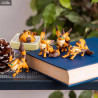 Le Château dans le ciel - Figurine aléatoire Fox Squirrel