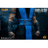 Mortal Kombat 11 - Sub-Zero figure