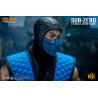 Mortal Kombat 11 - Sub-Zero figure