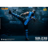 Mortal Kombat 11 - Sub-Zero figure