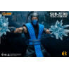 Mortal Kombat 11 - Sub-Zero figure