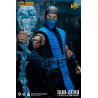 Mortal Kombat 11 - Sub-Zero figure