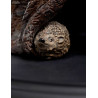 Le Hobbit - Figurine Radagast the Brown