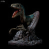 Jurassic Park - T-Rex or Blue bust, Limited Edition
