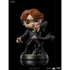 Harry Potter (Sword of Gryffindor), Hermione Granger (Polyjuice) or Ron Weasley (Broken Wand) figure, Mini Co
