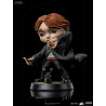 Harry Potter (Sword of Gryffindor), Hermione Granger (Polyjuice) or Ron Weasley (Broken Wand) figure, Mini Co