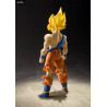 Dragon Ball Z - Super Saiyan Son Goku Super Warrior Awakening Ver. figure, S.H. Figuarts