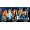 Saint Seiya - Pack de 5 figurines, Agaruma