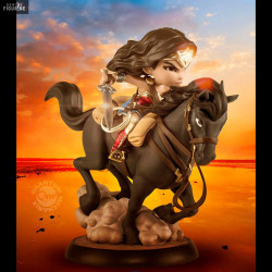 DC Comics - Figurine Wonder...