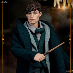 Fantastic Beasts: The...