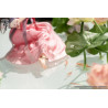 Hanfu Girls - Figurine Lotus Reflection