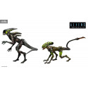 PRE ORDER - Aliens: Fireteam Elite - Pack 2 figures Burster Alien & Spitter Alien