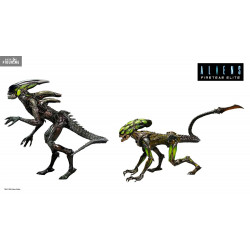 Aliens: Fireteam Elite -...