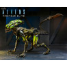 Aliens: Fireteam Elite - Pack 2 figures Burster Alien & Spitter Alien