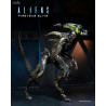 Aliens: Fireteam Elite - Pack 2 figures Burster Alien & Spitter Alien