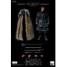 Game of Thrones (Season 7) - Sandor The Hound Clegane figure