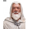 Le Seigneur des Anneaux - Figurine Gandalf the White, Classic Series