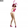 Code Geass: Lelouch of the Rebellion - Figurine Kallen Kouzuki, Bare Leg Bunny