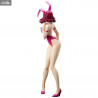 Code Geass: Lelouch of the Rebellion - Kallen Kouzuki figure, Bare Leg Bunny