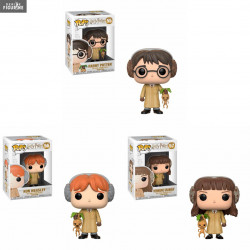 Harry Potter Pop! of your...