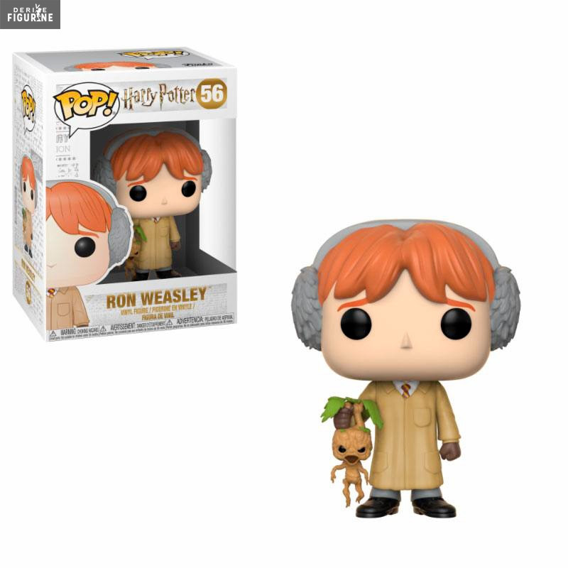 Harry Potter Pop! of your...