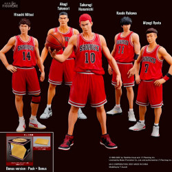 Slam Dunk - Figurine...