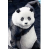 Jujutsu Kaisen - Figure Panda, ARTFXJ Bonus Edition